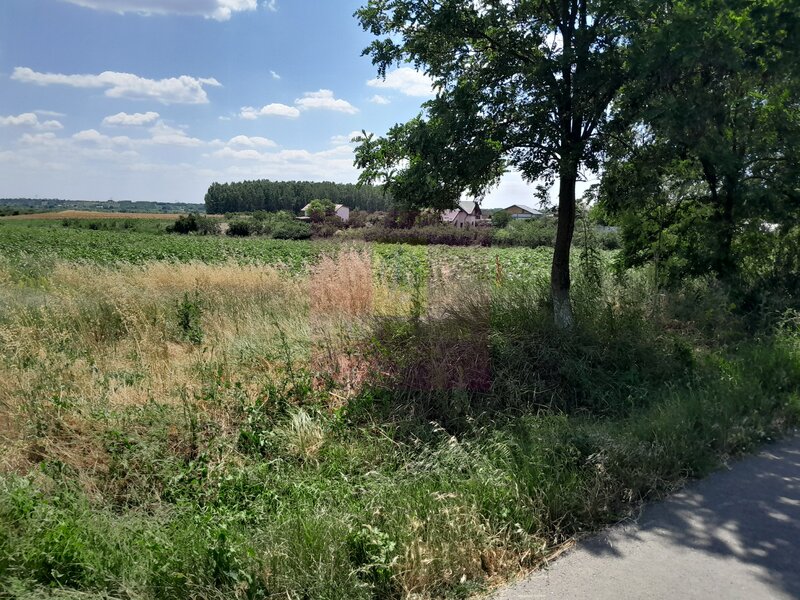 GIURGIU - SE VIND 2 TERENURI ALIPITE (TOTAL 16.600 MP) IN SAT TEISORI
