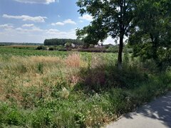 GIURGIU - SE VIND 2 TERENURI ALIPITE (TOTAL 16.600 MP) IN SAT TEISORI