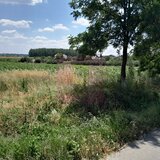 GIURGIU - SE VIND 2 TERENURI ALIPITE (TOTAL 16.600 MP) IN SAT TEISORI