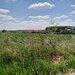 GIURGIU - SE VIND 2 TERENURI ALIPITE (TOTAL 16.600 MP) IN SAT TEISORI