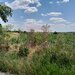 GIURGIU - SE VIND 2 TERENURI ALIPITE (TOTAL 16.600 MP) IN SAT TEISORI