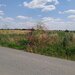 GIURGIU - SE VIND 2 TERENURI ALIPITE (TOTAL 16.600 MP) IN SAT TEISORI
