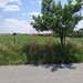 GIURGIU - SE VIND 2 TERENURI ALIPITE (TOTAL 16.600 MP) IN SAT TEISORI